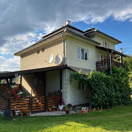 Вилла Casa Danut Vidra  Экстерьер фото